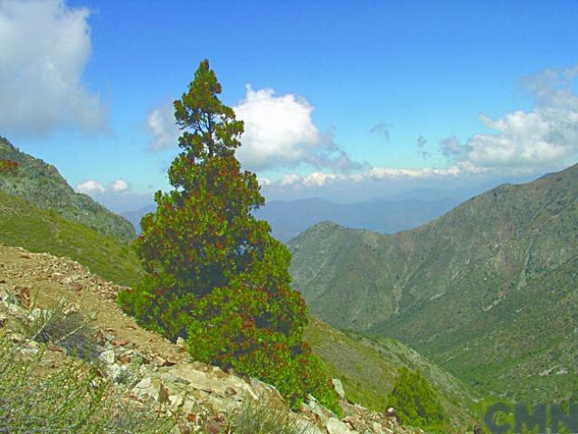 Imagen del monumento Serranía El Ciprés