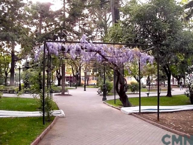 Imagen del monumento Plaza de Armas de Curicó con todos los edificios que la circundan