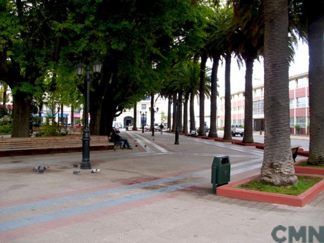 Imagen del monumento Plaza de Armas de Curicó con todos los edificios que la circundan