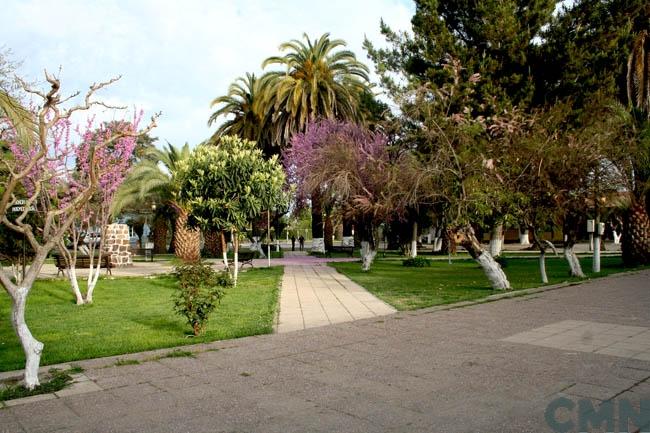 Imagen del monumento Plaza de Guacarhue