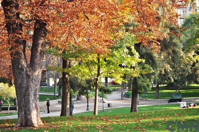 Imagen del monumento Parque Forestal y entorno que señala