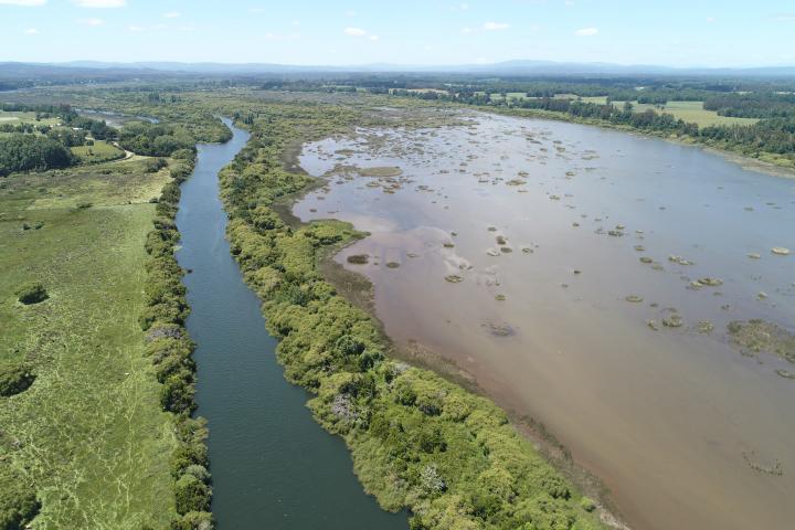 Imagen del monumento Zona húmeda de los alrededores de la ciudad de Valdivia