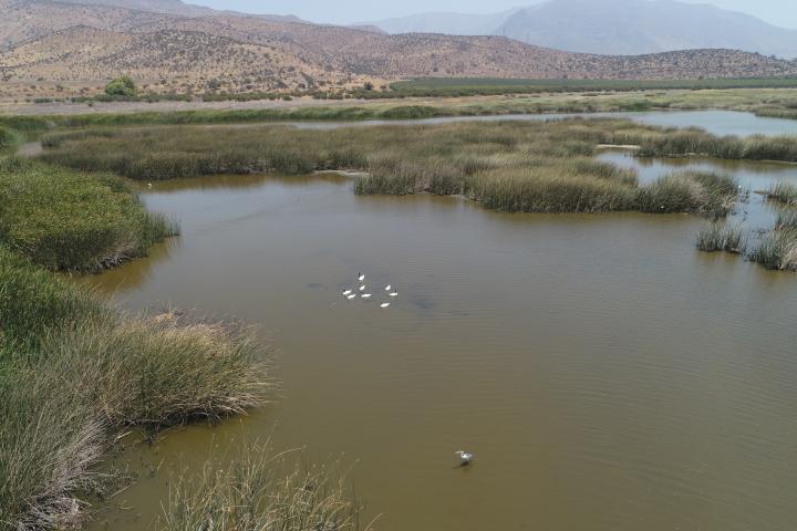 Imagen del monumento Laguna de Batuco