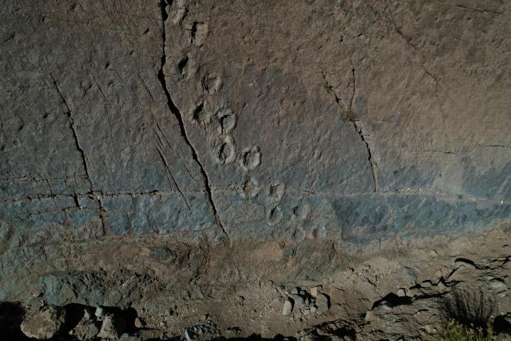 Imagen del monumento Sitio donde se conservan huellas de animales extinguidos en el lugar denominado "Termas del Flaco"