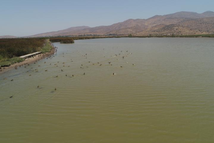 Imagen del monumento Laguna de Batuco