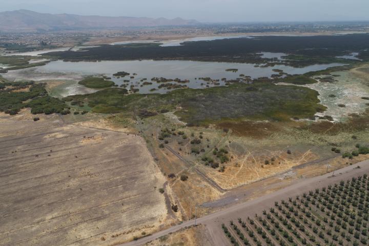 Imagen del monumento Laguna de Batuco