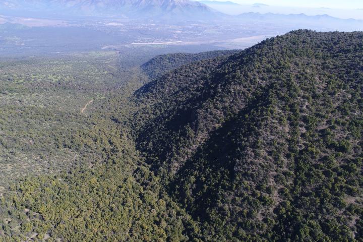 Imagen del monumento Torcazas de Pirque