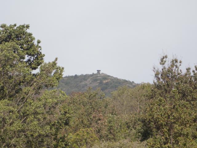 Imagen del monumento Altos de Cantillana-Horcón de Piedras y Roblería Cajón de Lisboa