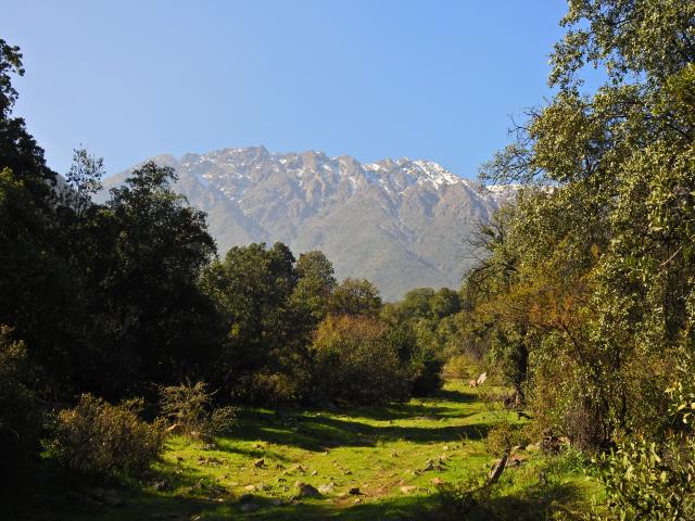 Imagen del monumento Torcazas de Pirque