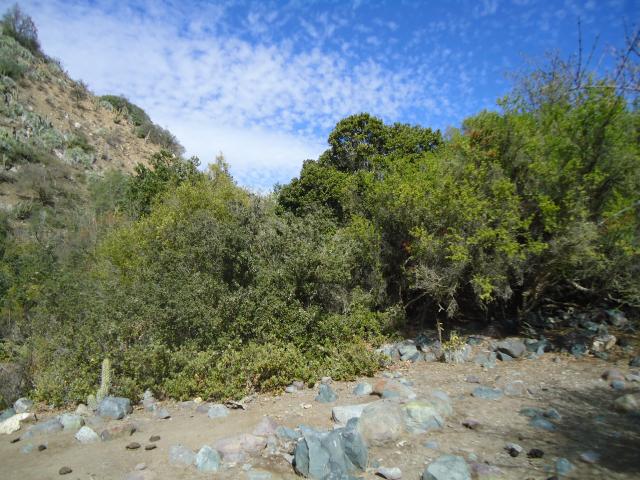 Imagen del monumento Quebrada Llau Llau