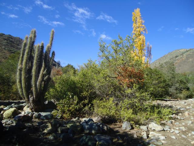 Imagen del monumento Sitio denominado Monte Aranda
