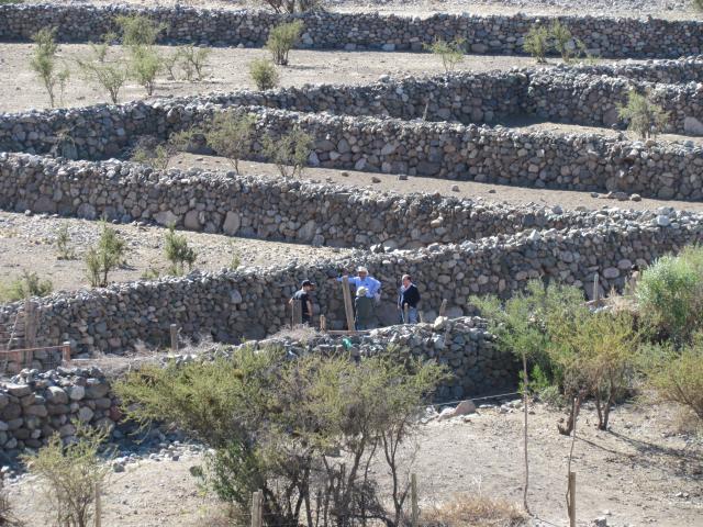 Imagen del monumento Sitio Histórico y Arqueológico &quot;Corrales de Chalaco&quot;