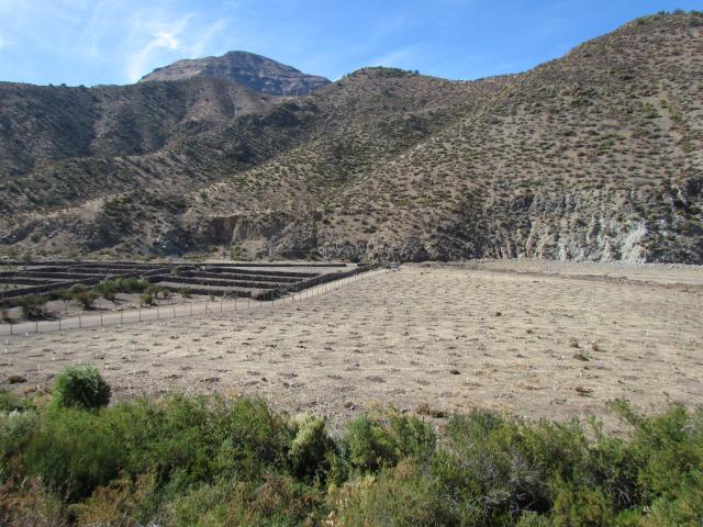 Imagen del monumento Sitio Histórico y Arqueológico &quot;Corrales de Chalaco&quot;