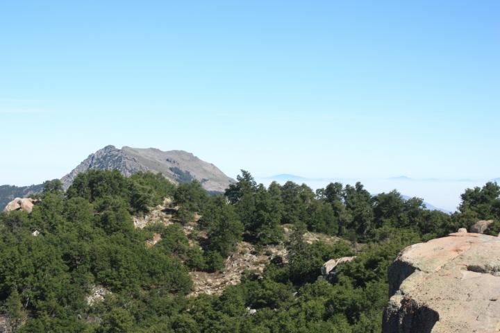 Imagen del monumento Altos de Cantillana-Horcón de Piedras y Roblería Cajón de Lisboa