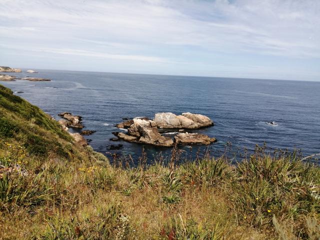 Imagen del monumento Península de Hualpén