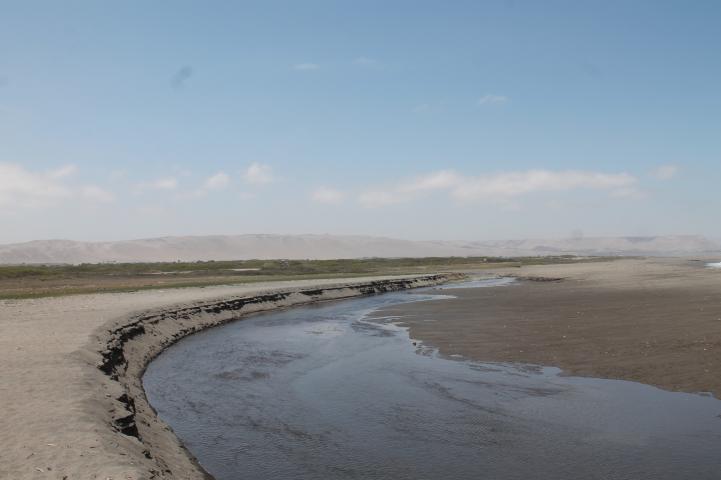 Imagen del monumento Humedal de la desembocadura del río Lluta