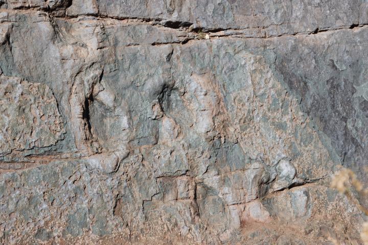 Imagen del monumento Sitio donde se conservan huellas de animales extinguidos en el lugar denominado "Termas del Flaco"