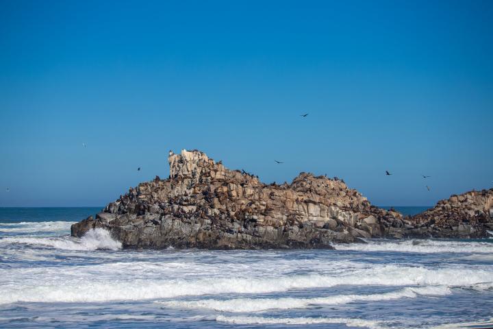 Imagen del monumento Los islotes Lobería y lobería Iglesia de Piedra