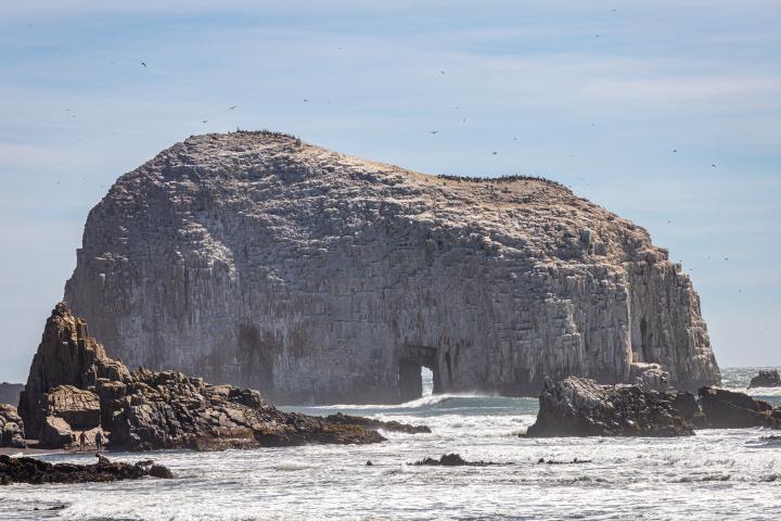 Imagen del monumento Las Rocas de Constitución