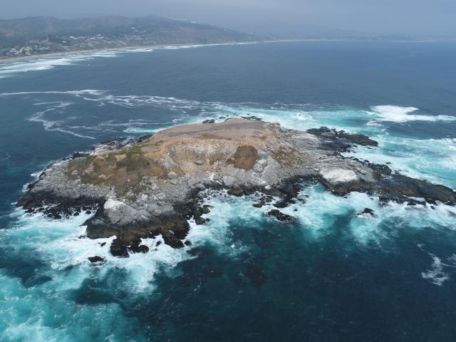 Imagen del monumento Isla de Cachagua