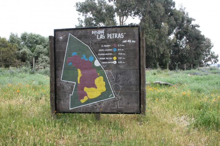 Imagen del monumento Bosque Las Petras de Quintero y su entorno