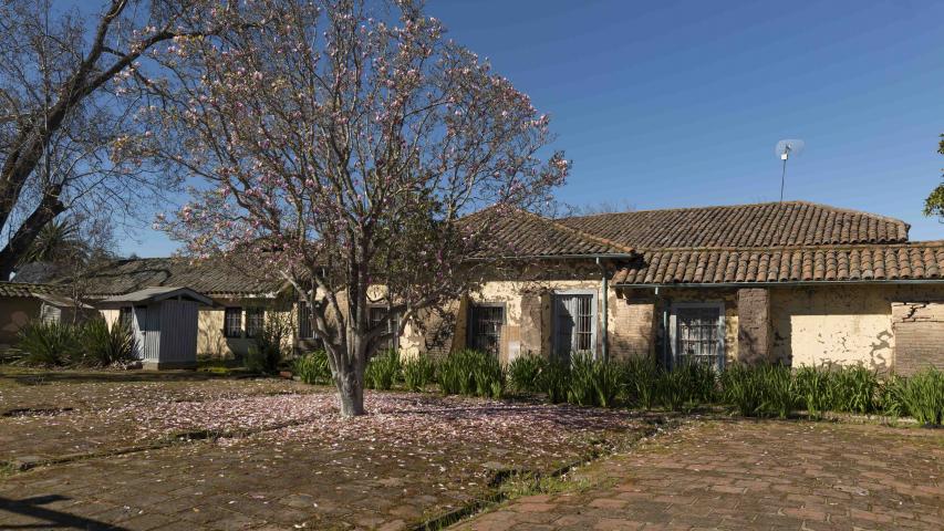 Imagen del monumento Casa Patronal, Capilla y dependencias contiguas de la Hacienda San José del Carmen El Huique