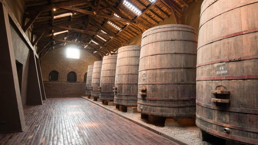 Imagen del monumento Las Bodegas de la viña Santa Carolina