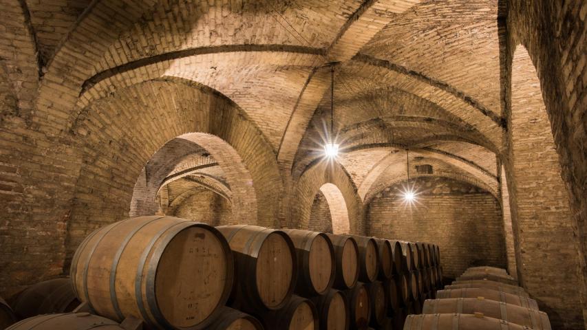 Imagen del monumento Las Bodegas de la viña Santa Carolina