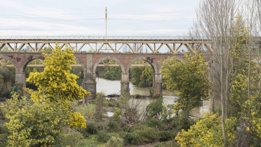 Imagen del monumento Puente sobre el río Pangue