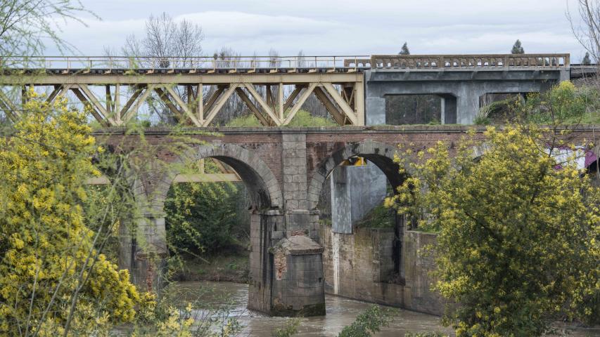 Imagen del monumento Puente sobre el río Pangue