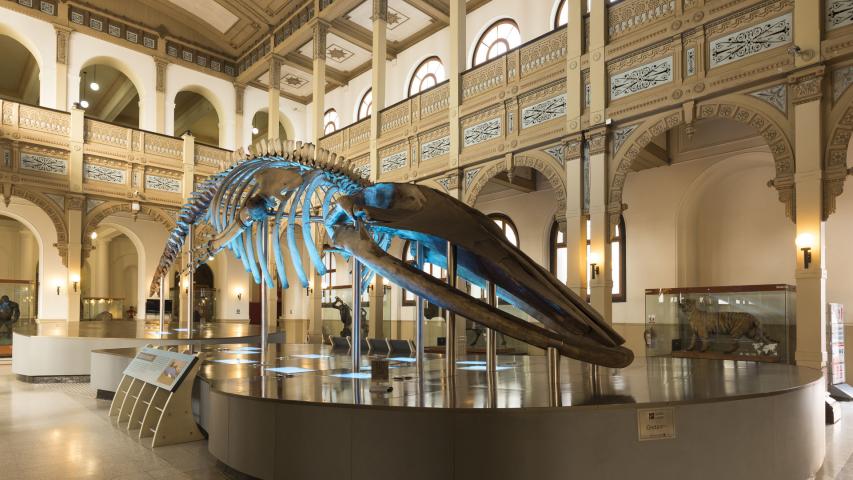 Imagen del monumento Edificio del Museo Nacional de Historia Natural