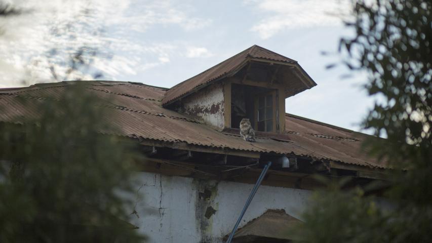 Imagen del monumento Casona El Tabo