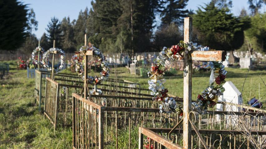 Imagen del monumento Nguillatuwe, menoko y cementerio del complejo ceremonial y religioso mapuche de Monopaine