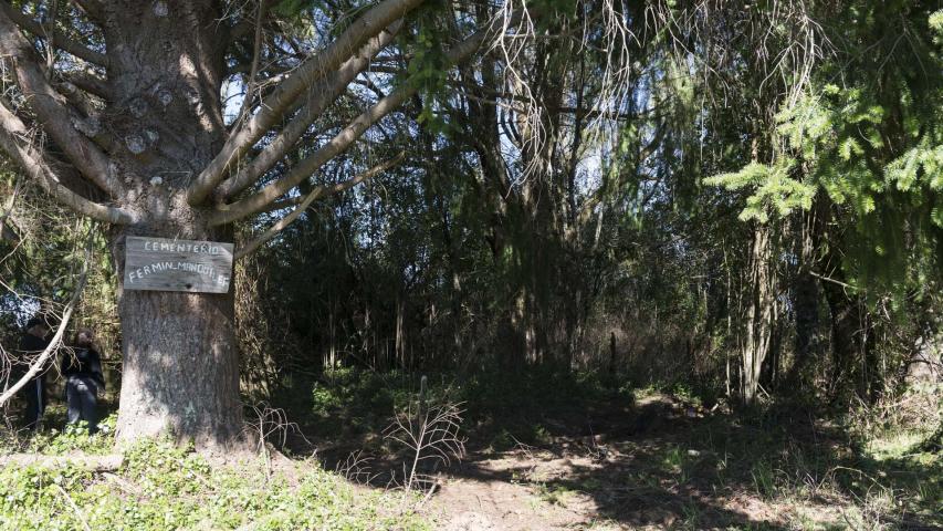 Imagen del monumento Eltun (cementerio mapuche) de Pelal Rucahue del lof Manquilef