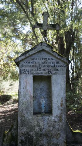 Imagen del monumento Eltun (cementerio mapuche) de Pelal Rucahue del lof Manquilef