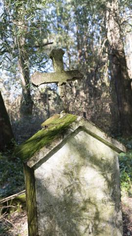 Imagen del monumento Eltun (cementerio mapuche) de Pelal Rucahue del lof Manquilef