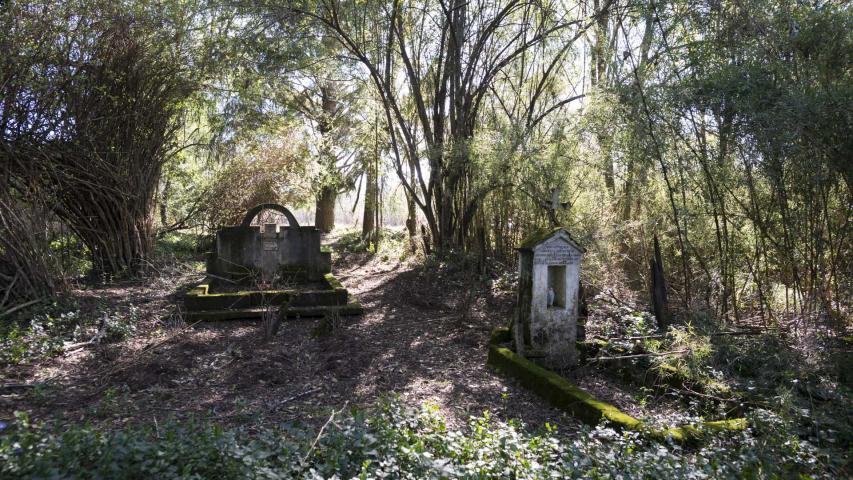 Imagen del monumento Eltun (cementerio mapuche) de Pelal Rucahue del lof Manquilef