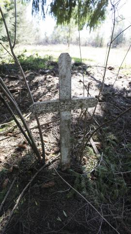 Imagen del monumento Eltun (cementerio mapuche) de Pelal Rucahue del lof Manquilef