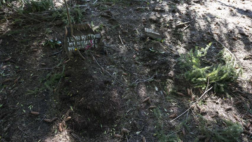 Imagen del monumento Eltun (cementerio mapuche) de Pelal Rucahue del lof Manquilef