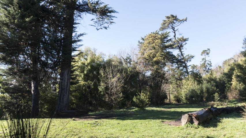 Imagen del monumento Cerro Colo Colo