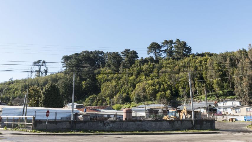 Imagen del monumento Cerro Colo Colo