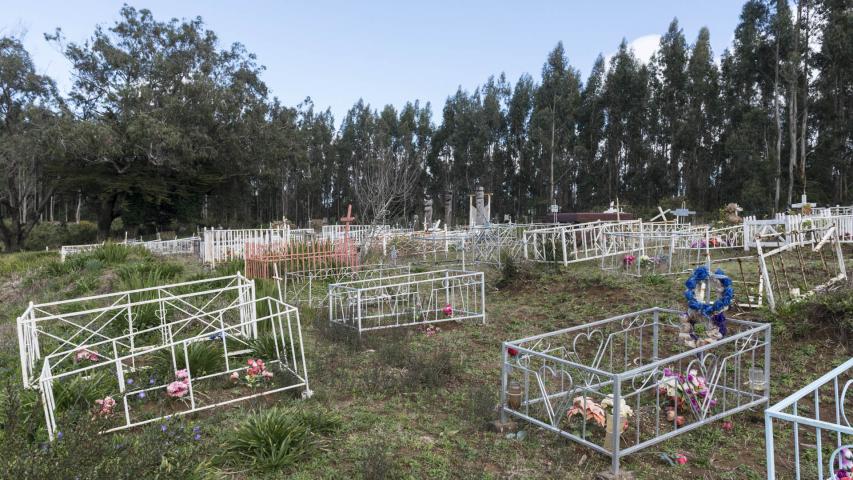 Imagen del monumento Eltun o cementerio mapuche ubicado en la localidad de Los Huape