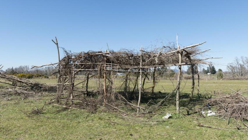 Imagen del monumento Complejo Religioso y ceremonial Nguillatuwe de la localidad de Pelleco Lof Maiten