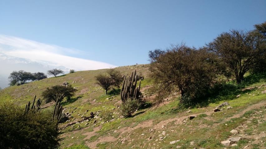 Imagen del monumento Fortaleza Incaica de Chena y sus contornos