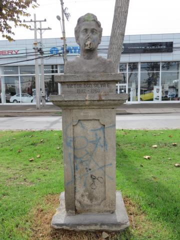 Imagen del monumento Victor Domingo Silva