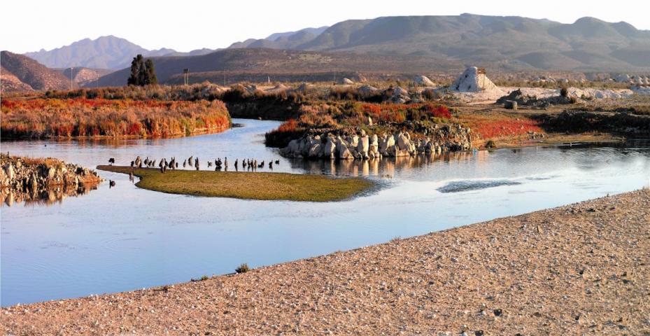 Imagen del monumento Humedales de Tongoy