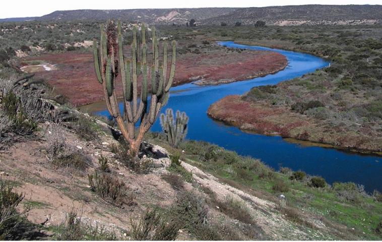 Imagen del monumento Humedales de Tongoy