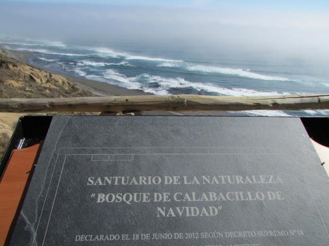 Imagen del monumento Bosque de Calabacillo