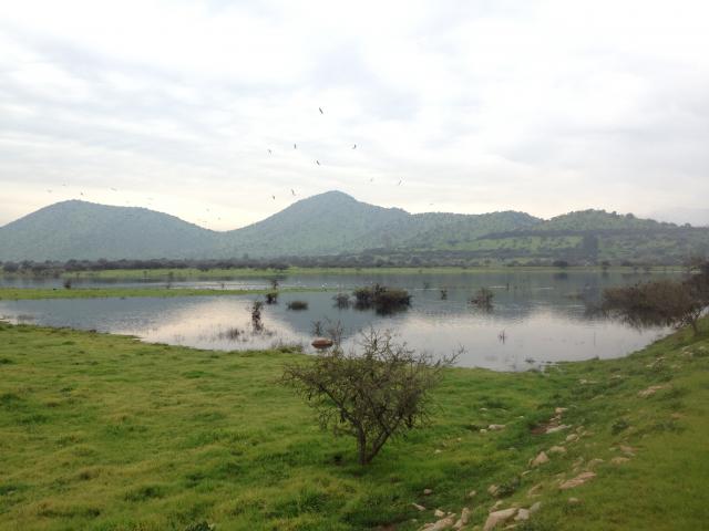 Imagen del monumento Quebrada de la Plata