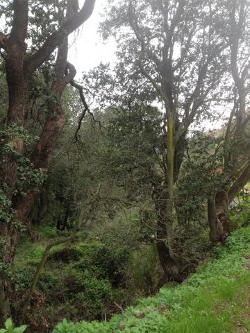 Imagen del monumento Quebrada de la Plata